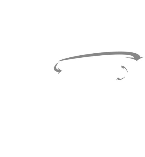 L3_info1-arrows-outbreak