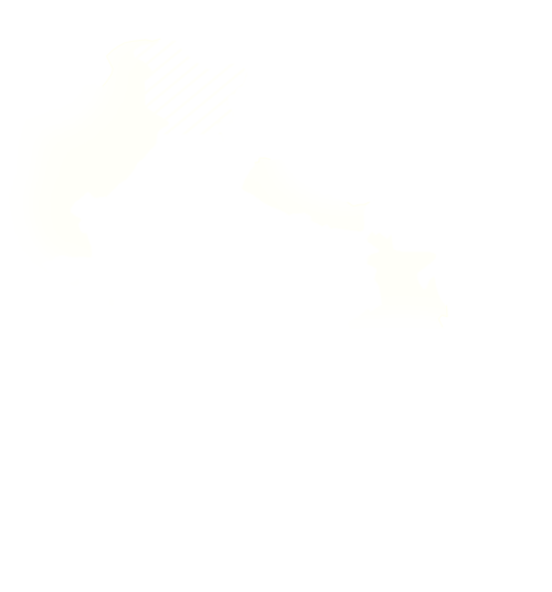 L3_info1-indiaborders