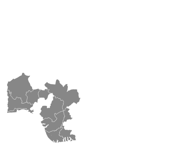 L3_info3-data3-childmort-100