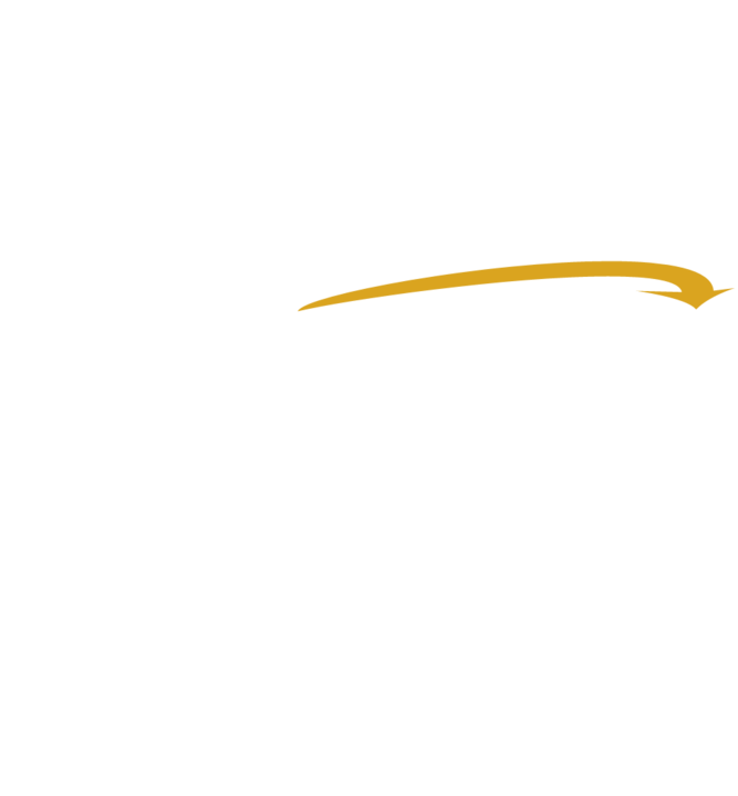 L3_info1-arrow-nigsomalia1314